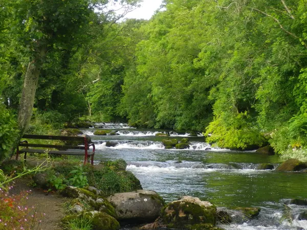 Bir Galler kırsal sahne