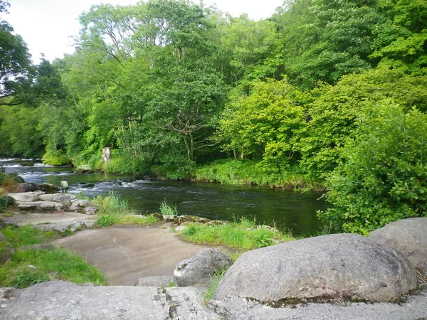 Bir Galler kırsal sahne