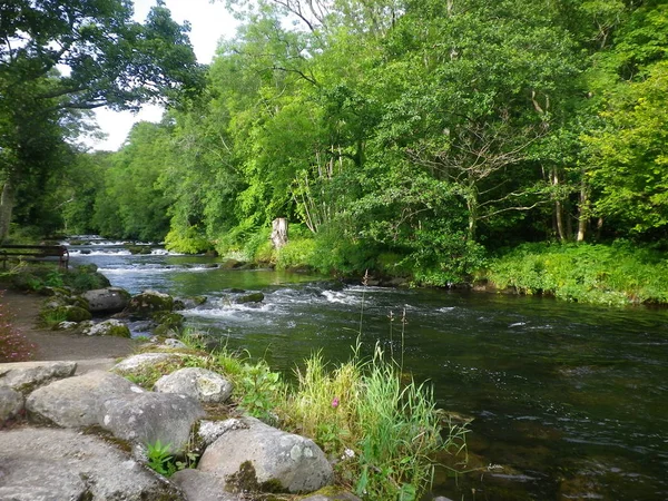 Bir Galler kırsal sahne