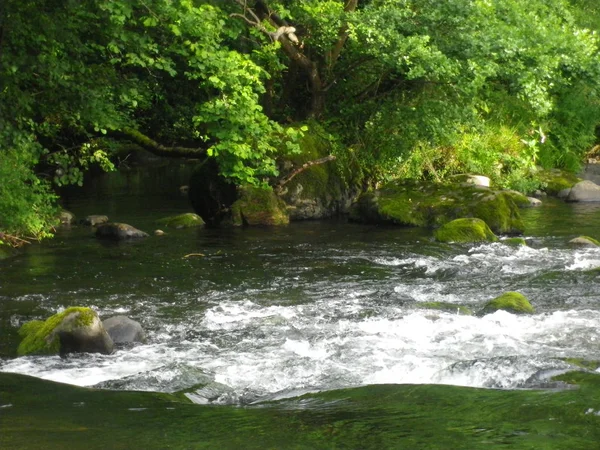 Bir Galler kırsal sahne