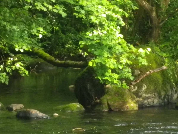 Bir Galler kırsal sahne