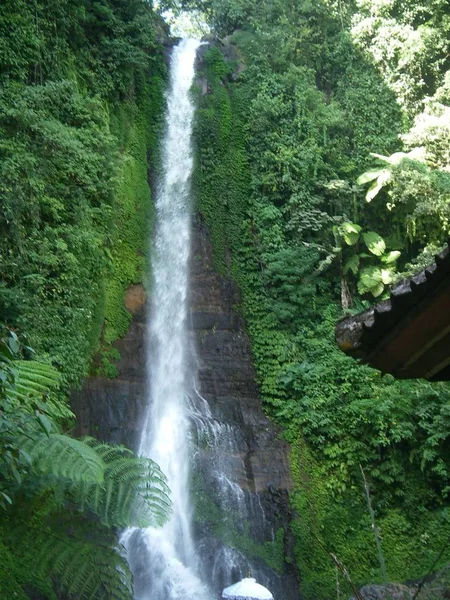 Bela cachoeira na natureza em Bali — Fotografia de Stock