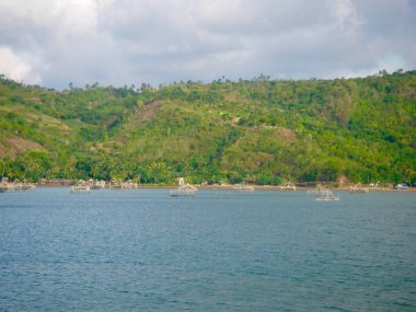 Küçük yeşil orman okyanustan günbatımı sırasında görüntüleyin