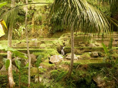 Bali teraslı pirinç alan sulama sistemi