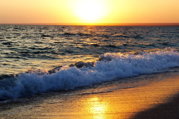 Sahilde deniz sarı günbatımı