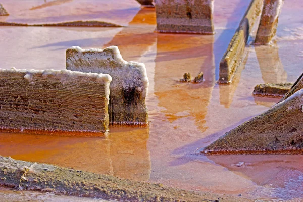 Pembe tuzlu göl. ahşap kazık su. Gölün yüzeyi. Sıcak yaz ve Tuz Gölü. Doğal güdük ve kazık su 