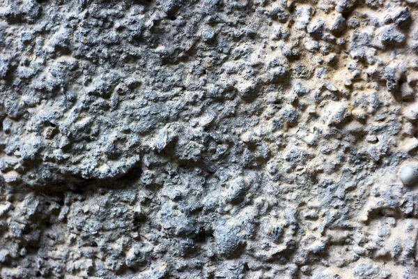 Bir Kürk Manto Alçı Kaplama Tekniği Gri Duvar Dokusu — Stok fotoğraf