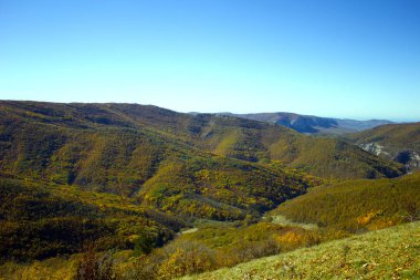 Sonbahar sezonu. Orman sonbaharda. Kırmızı ve sarı renklerde pitoresk dağ aralıkları. Güzel sonbahar dağ manzarası. 
