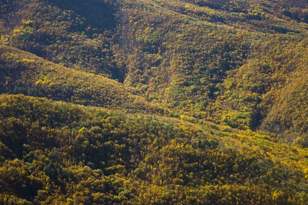 秋の季節 秋の森 赤と黄色の色の美しい山の範囲 美しい秋の山の風景 — ストック写真