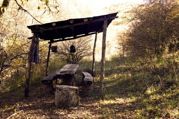 Sonbahar ormanda bekletin. Piknik etli, ateş üzerinde sıcak çay. Dur ve Tabiat düşüş içinde kalan. 