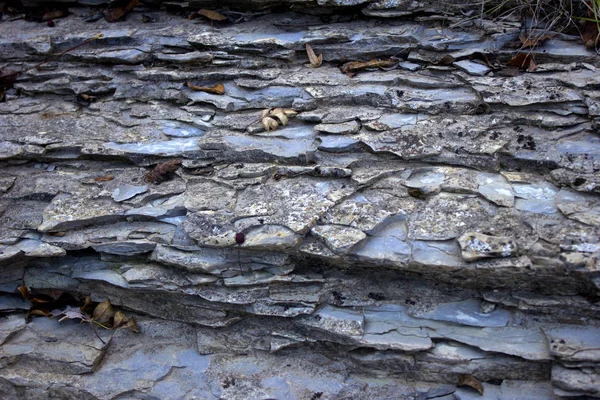 Rock gri granit renkli doku. Taş kabartma formunun doku. 