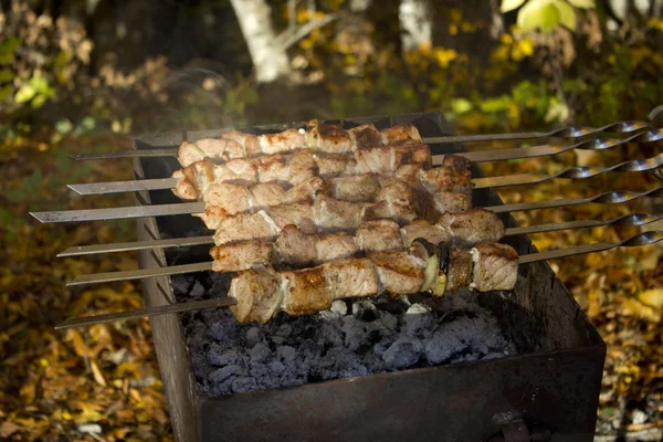 Sonbahar ormanda bekletin. Piknik etli, ateş üzerinde sıcak çay. Dur ve Tabiat düşüş içinde kalan. 