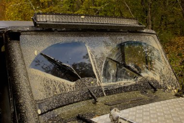 Off-Road gezi ormanın içinden. Jiping orman yoluyla. Lastiklerin çamur ve spor arabalar. Doğa ile çevrili otomobillerde çadırlarda vahşi dinlenme. 