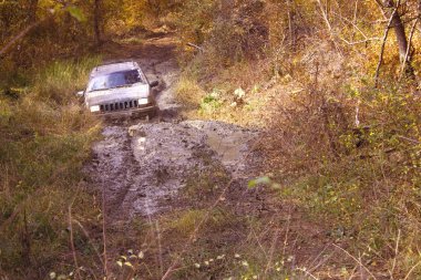 Off-Road gezi ormanın içinden. Jiping orman yoluyla. Lastiklerin çamur ve spor arabalar. Doğa ile çevrili otomobillerde çadırlarda vahşi dinlenme. 