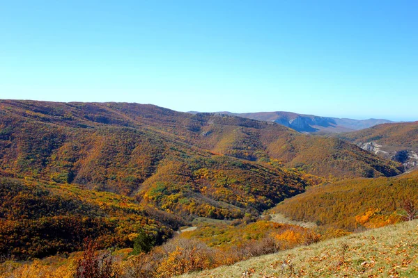 Autumn mountain forest landscape in sunny weather. Trees with yellow-red and orange leaves on a high hill in autumn. Crimson autumn landscape. Forest on the hills.