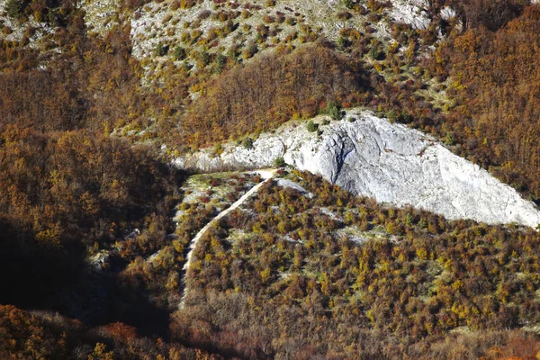 Güneşli havalarda sonbahar dağ orman manzarası. Sarı-kırmızı ve turuncu ile ağaçları sonbaharda yüksek bir tepe üzerinde bırakır. Kızıl sonbahar manzara. Tepelerde orman. 