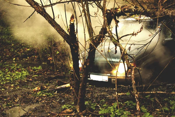 Off-Road gezi ormanın içinden. Jiping orman yoluyla. Lastiklerin çamur ve spor arabalar. Doğa ile çevrili otomobillerde çadırlarda vahşi dinlenme. 