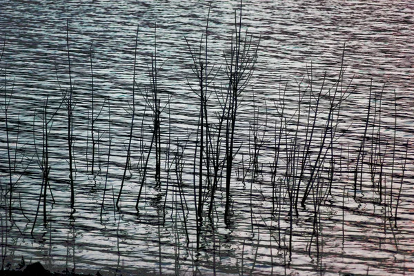Baraj gölünün kıyısında bekletin. Güzel su manzara orman doğada. Bir sonbahar günü sakin gölde. Renkli Peyzaj Sonbahar gölde. Göl kenarında kamp. 