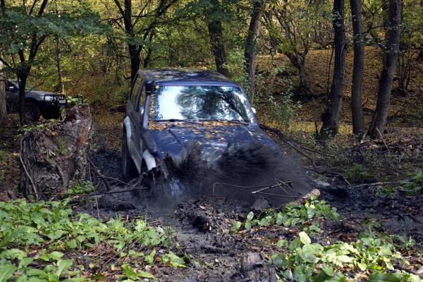 Off-Road gezi ormanın içinden. Jiping orman yoluyla. Lastiklerin çamur ve spor arabalar. Doğa ile çevrili otomobillerde çadırlarda vahşi dinlenme. 