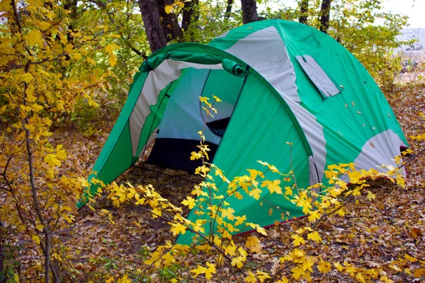 Tent in the forest during the holidays. Wild rest in the forest with tents. Camping in the forest. Hiking, hiking in the woods and overnight in a tent.