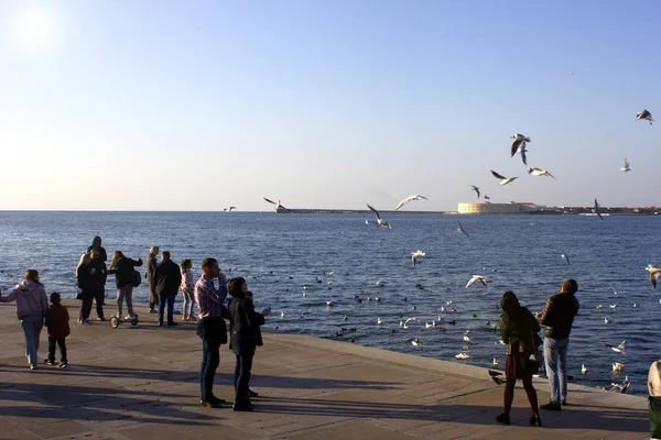 人们在海滨的海洋城市喂海鸥的手 日落时 一群海鸥在海滨的人头上盘旋 — 图库照片