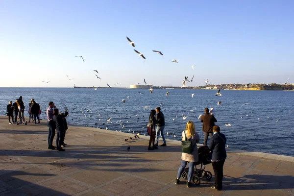 人们在海滨的海洋城市喂海鸥的手 日落时 一群海鸥在海滨的人头上盘旋 — 图库照片