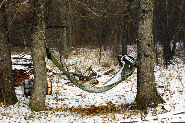 Kış tatili ormanın içinde. Hamak bir terk edilmiş forester'ın evinin ormanda karda. Orman ağaçları arasında izole bir hamakta. 