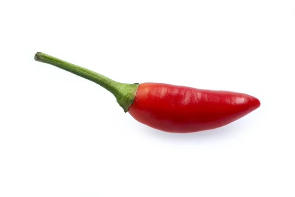 Chilli Red Bullet Wit Geïsoleerde Achtergrond — Stockfoto