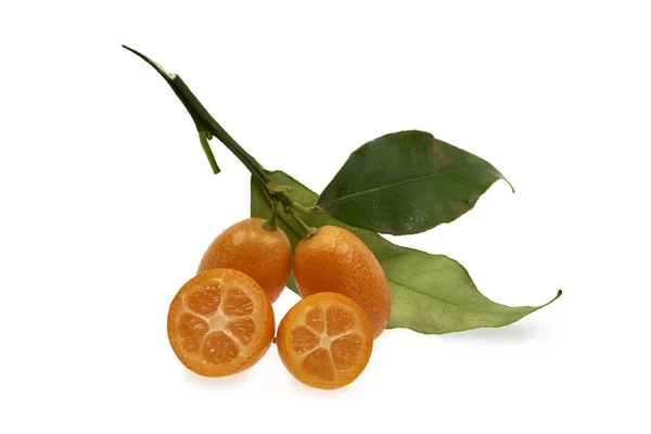 İzole edilmiş Beyaz Arkaplanda Kumquat Cumquat Meyvesi Yaklaş