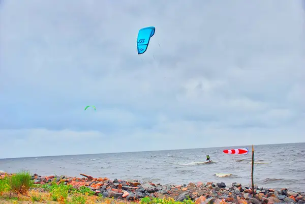 Yaz, deniz, plaj. Ayak kum. Deniz flora.