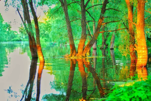 Yaz, deniz, plaj. Ayak kum. Deniz flora.