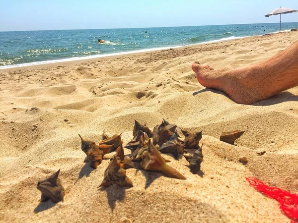 Genel Dnepr şehir parkında