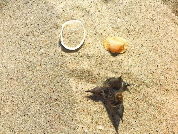 Genel Dnepr şehir parkında