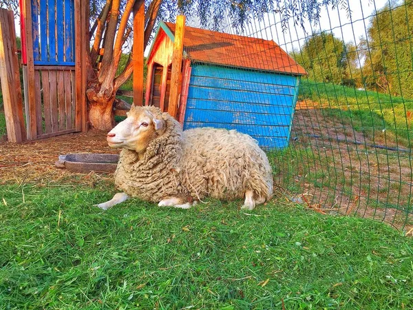 Genel Dnepr şehir parkında