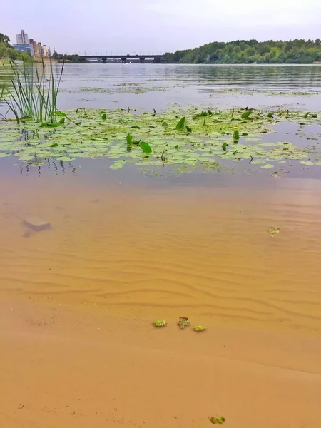 Genel Dnepr şehir parkında