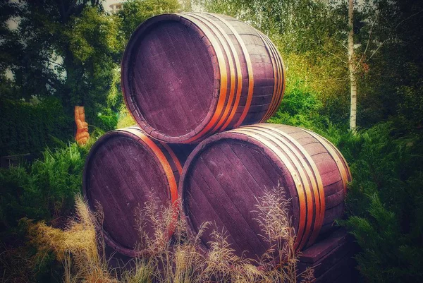 Genel Dnepr şehir parkında