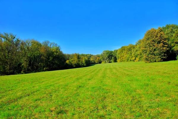 Genel Dnepr şehir parkında