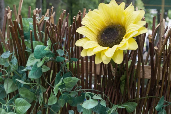 Güneşteki siluetler azalır