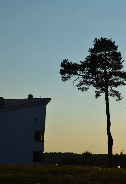 Güneşteki siluetler azalır