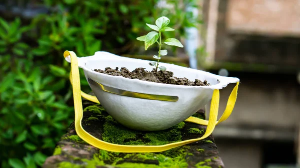 Salgından sonra yeni bir hayat umudu olarak kullanılmış bir maskenin üzerinde yeni fidanlar
