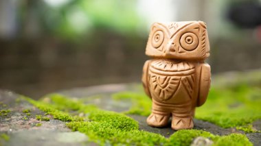 Nemli yüzeyde tutulan küçük bir baykuş yavrusu. 