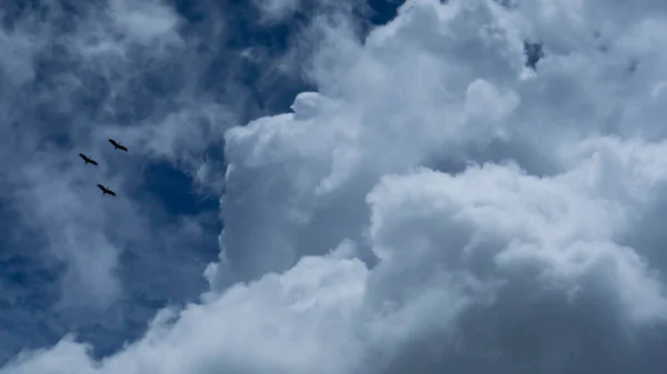 Mevsimsel ya da doğanın yaratıcı gelişimi için beyaz bulutları olan güzel Mavi Gökyüzü  