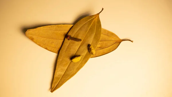Sıcak beyaz arkaplanda kuru defne yaprağı izole 