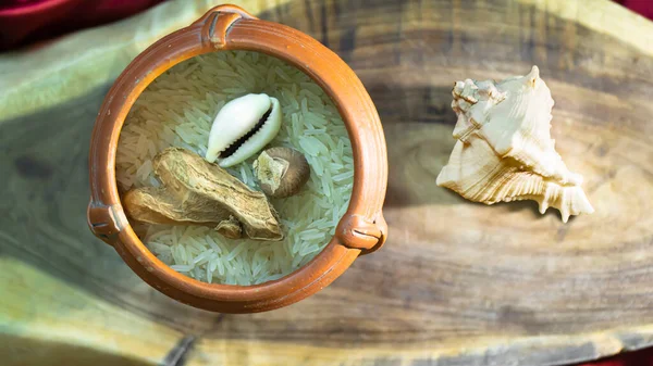 Hindistan çiğ baharatlarının ahşap bir zemindeki renkli küçük kil kaplar üzerinde düzenlenmesi. 