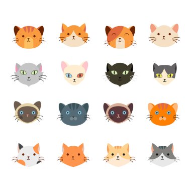 Kedi kafa ile birçok türü kümesi