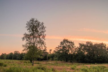 Sabah erken peyzaj Dorst Hollanda içinde yer. O çarpıcı bir gökyüzü ile bir ilginç ön şekil.