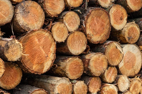 wooden logs pile pattern