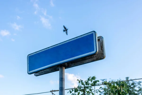 blank Blue street sign Insert with a bird In the sky.