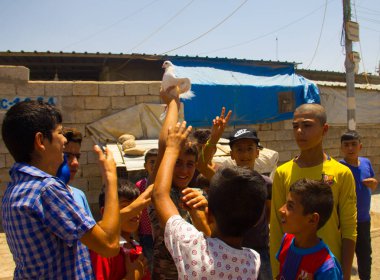 Darashakran mülteci kampı Erbil, bir güvercin ile oynarken çocuklar Irak-Kürdistan, Temmuz 2018