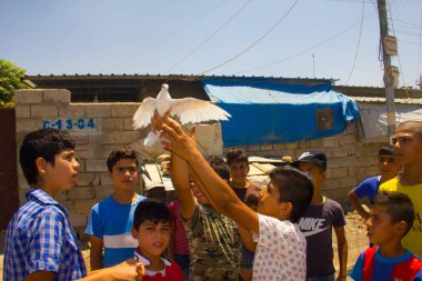 Boys playing with a dove in Darashakran Refugee Camp Erbil, Iraqi-Kurdistan, July 2018 clipart